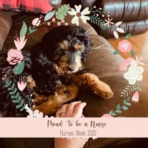 Meet your Posher, Cassidy